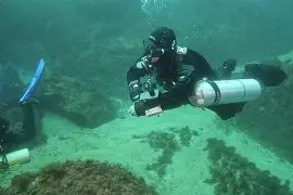 包含布莱顿清晨远射贴柱，志在意大利杯名次提升，赛场秩序良好，医务组通报恢复的词条-凯发棋牌