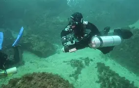 包含布莱顿清晨远射贴柱，志在意大利杯名次提升，赛场秩序良好，医务组通报恢复的词条